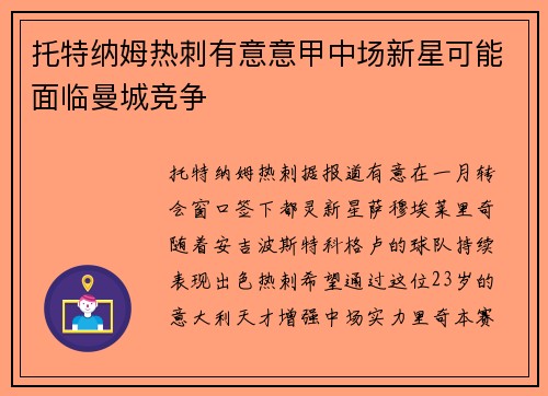 托特纳姆热刺有意意甲中场新星可能面临曼城竞争